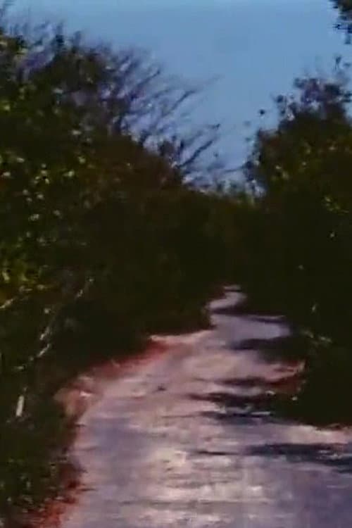 Road to Nowhere (1971) poster