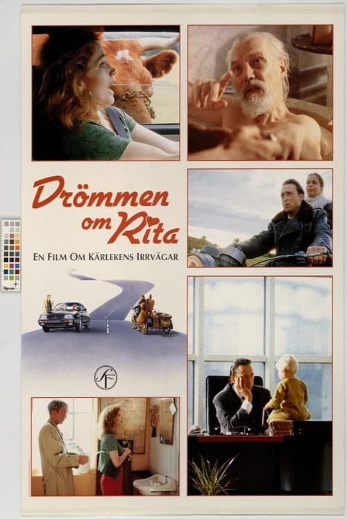 Drömmen om Rita (1993) poster