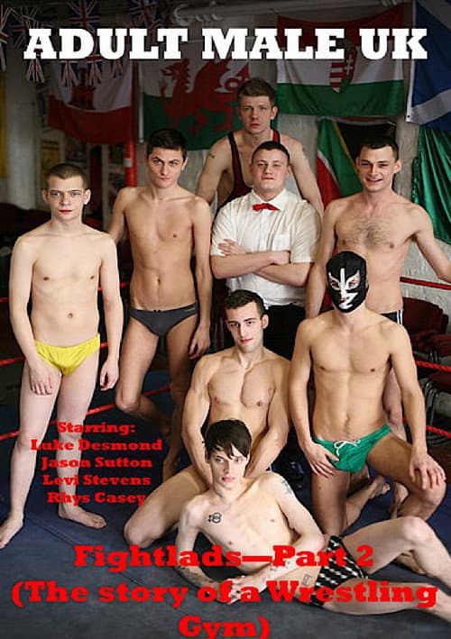 Fightlads 2 (2014) poster