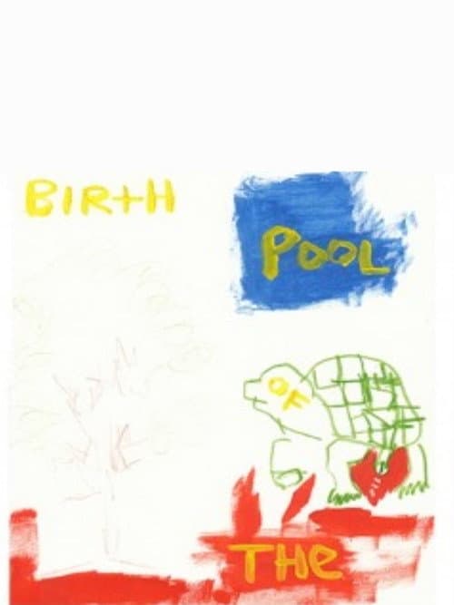 Birth of the Pool (2013) poster