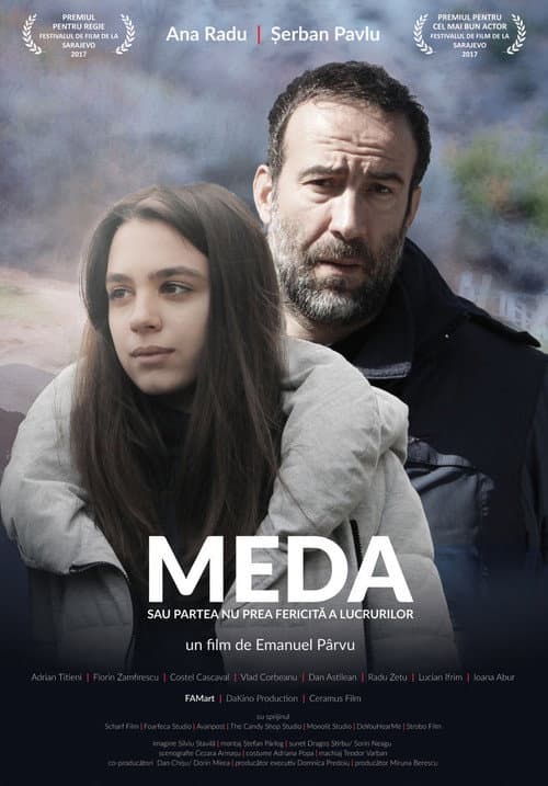 Meda or The Not So Bright Side of Things (2017) poster