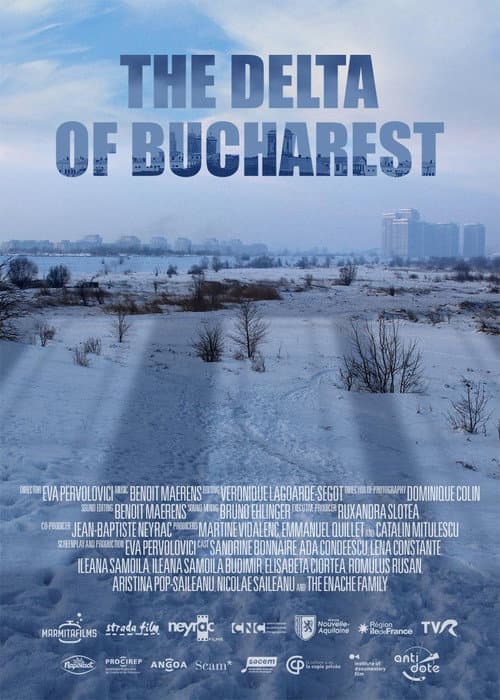 Delta Bucureștiului (2020) poster
