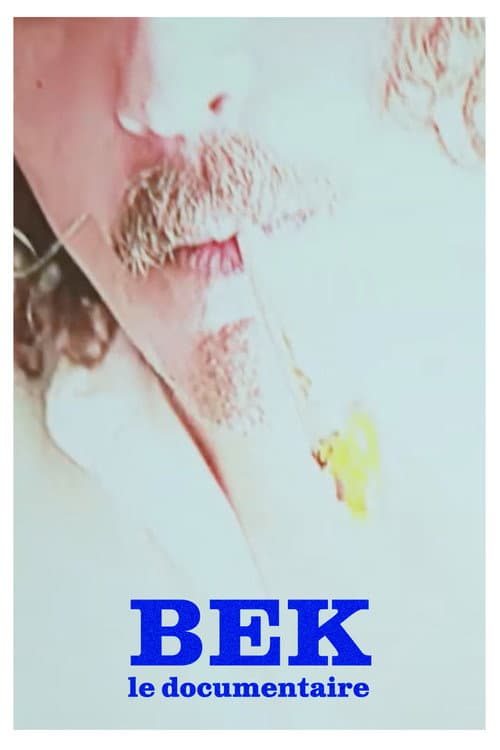 BEK - Le documentaire (2020) poster