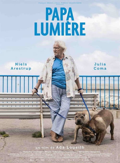 Papa lumière (2015) poster