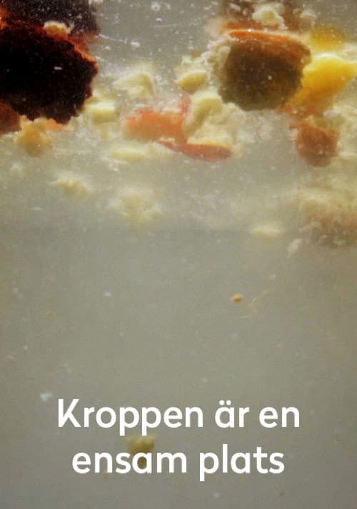 Kroppen är en ensam plats (2016) poster
