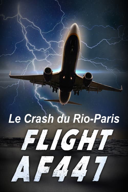 Vol AF 447, Le crash du Rio-Paris (2015) poster