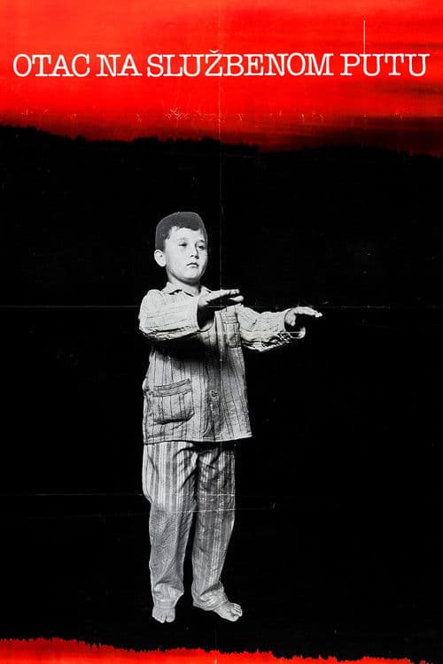 Otac na službenom putu (1985) poster