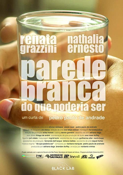 Parede branca do que poderia ser (2011) poster