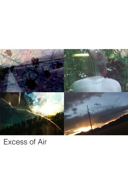 Excess of Air (2026) poster