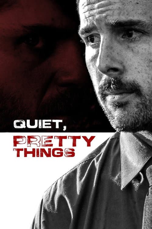 Quiet, Pretty Things (2020) poster