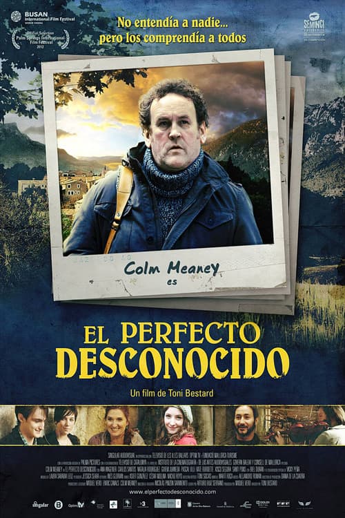 The Perfect Stranger (2011) poster