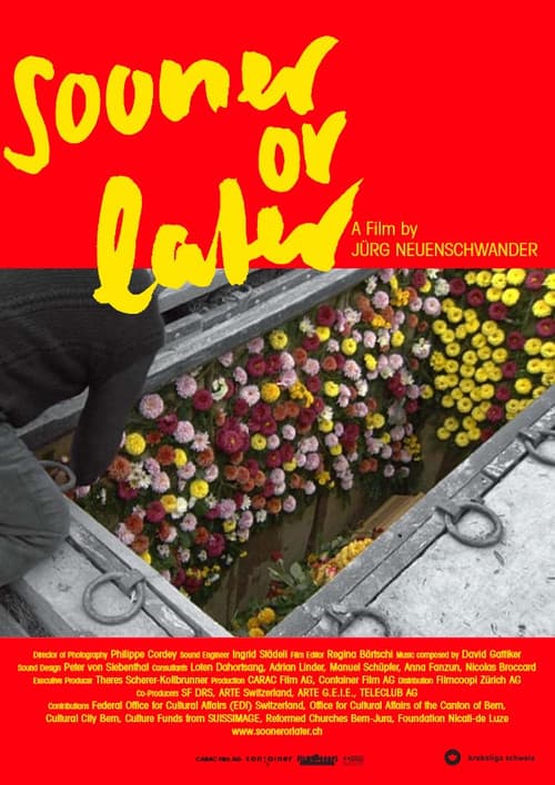 Früher oder später (2003) poster