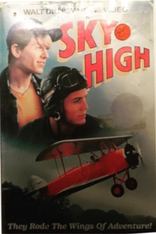 Sky High (1990) poster