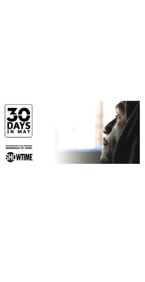30 Days in May (2013) poster