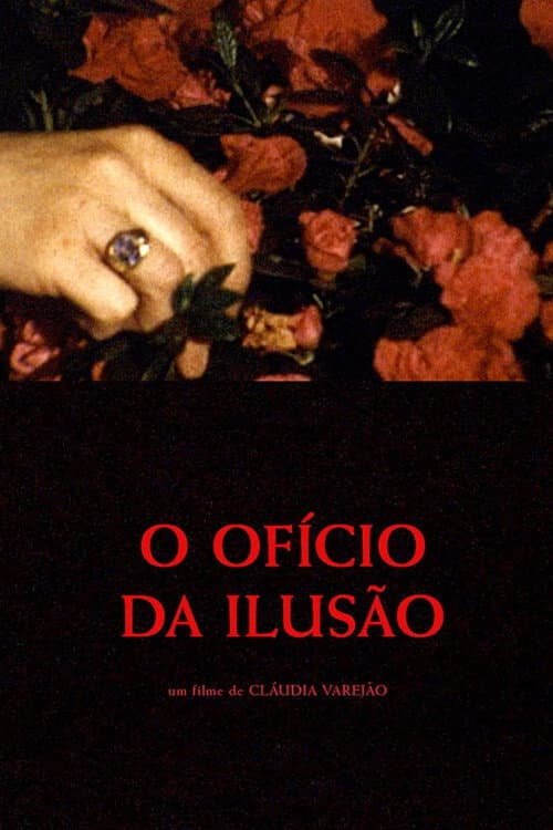 O Ofício da Ilusão (2020) poster