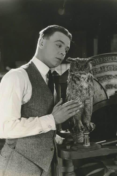 The Jailbird (1920) poster
