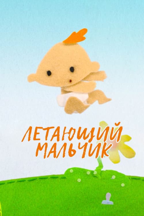 Летающий мальчик (2015) poster
