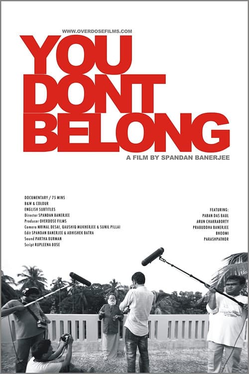 You Don't Belong (2011) poster