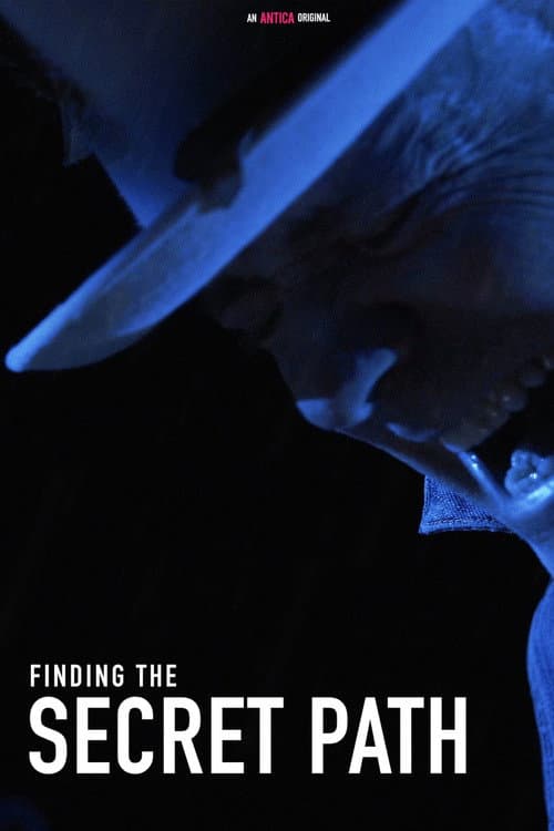 Finding the Secret Path (2018) poster