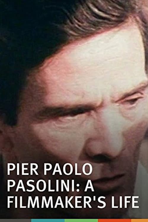 Pier Paolo Pasolini: A Film Maker's Life (1971) poster