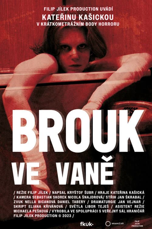 Brouk ve vaně (2024) poster