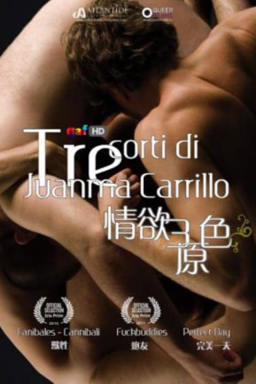 Tre corti di Juanma Carrillo (2011) poster