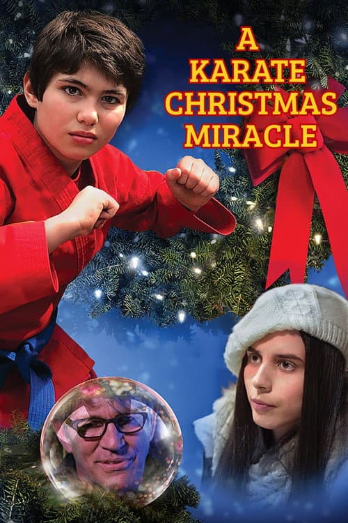 A Karate Christmas Miracle (2019) poster