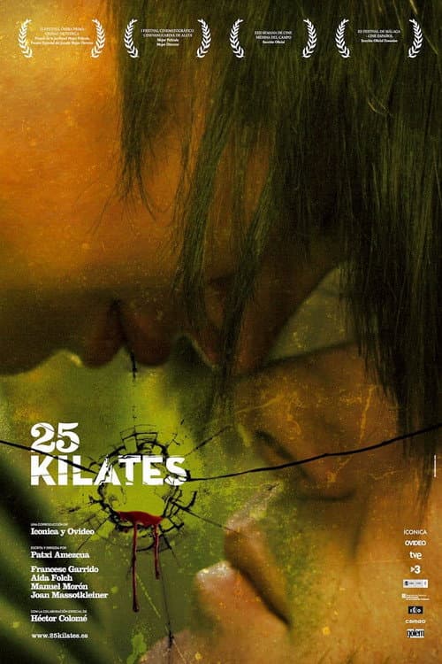 25 kilates (2008) poster