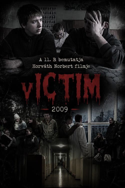 vICTIM (2009) poster