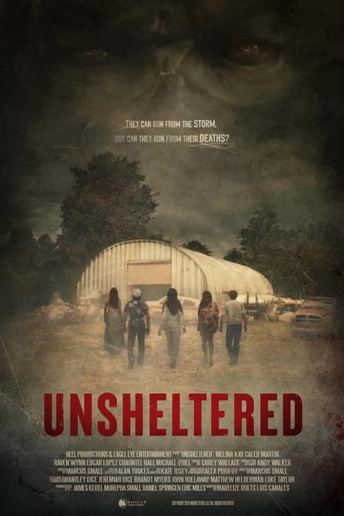 Unsheltered (2022) poster