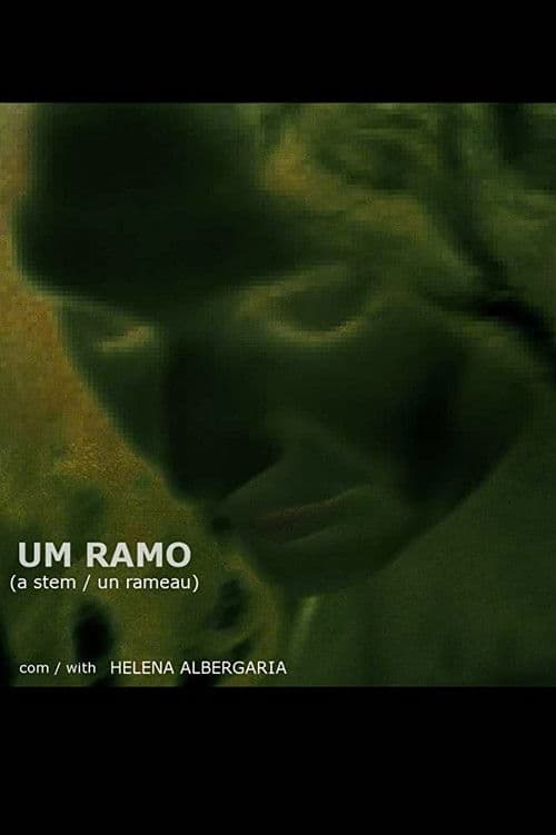 Um Ramo (2007) poster