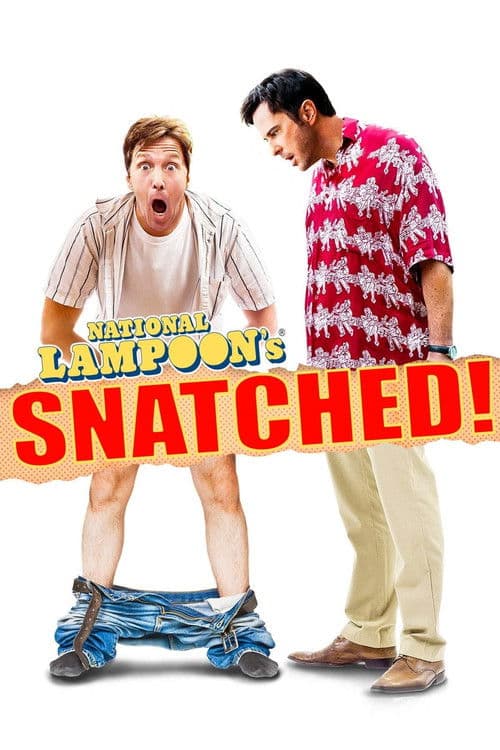 National Lampoon's Snatched (2011) poster