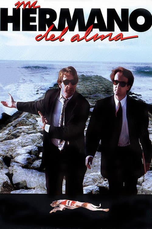 Mi hermano del alma (1994) poster