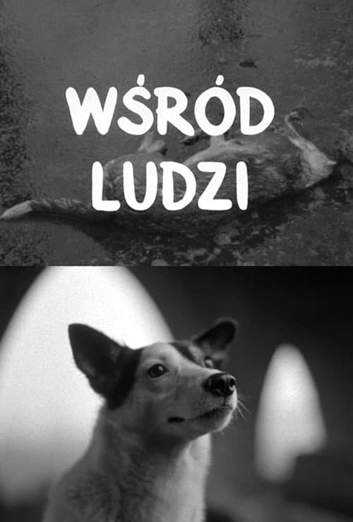 Wśród ludzi (1960) poster