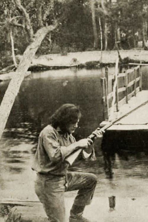 Kit, the Arkansaw Traveler (1914) poster