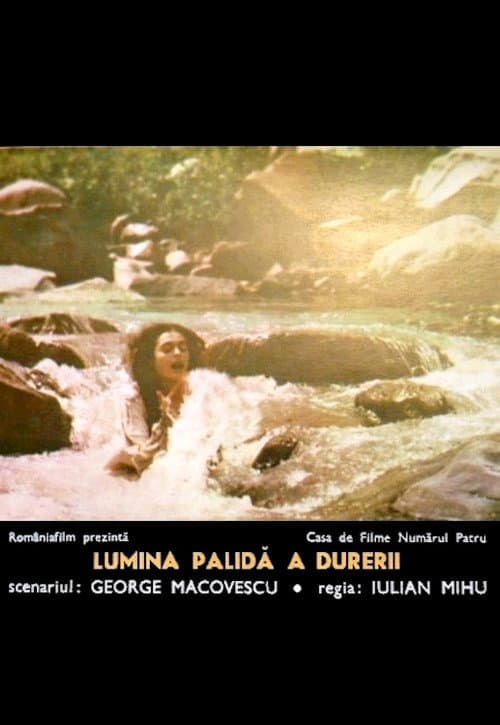 Lumina palidă a durerii (1980) poster