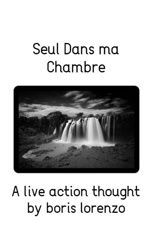 Seul Dans ma Chambre (2022) poster