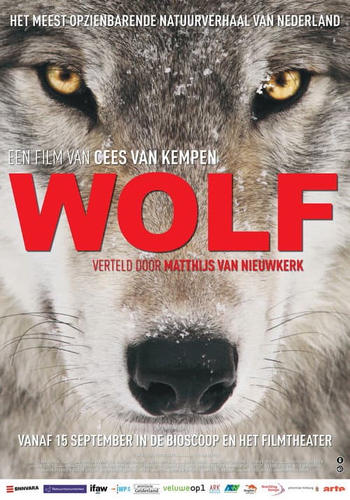 Wolf (2022) poster
