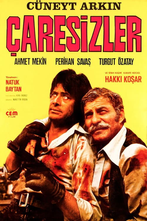 Çaresizler (1973) poster