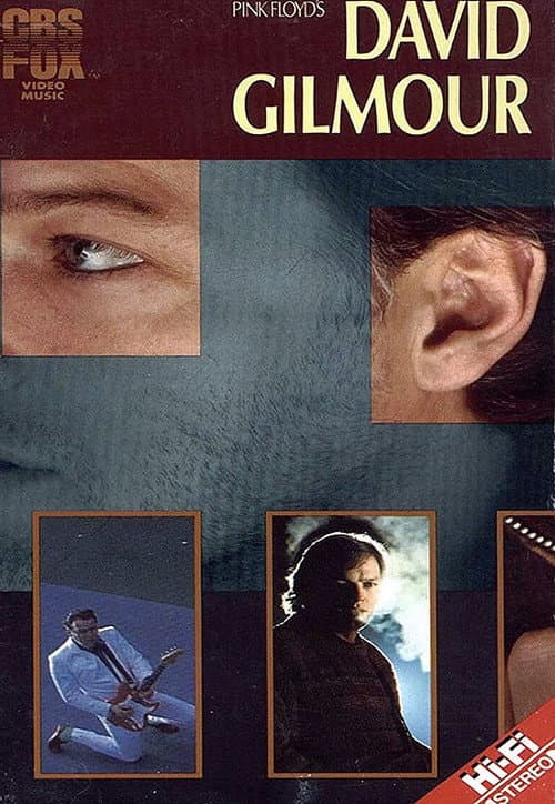 David Gilmour: Live 1984 (1984) poster