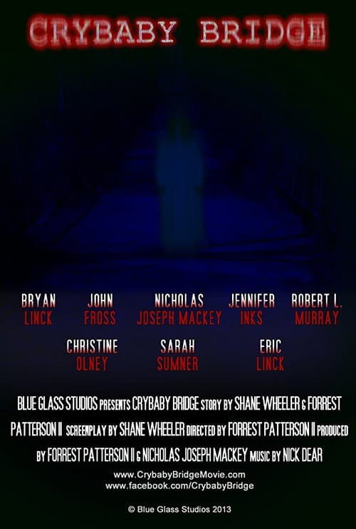 Crybaby Bridge (2013) poster