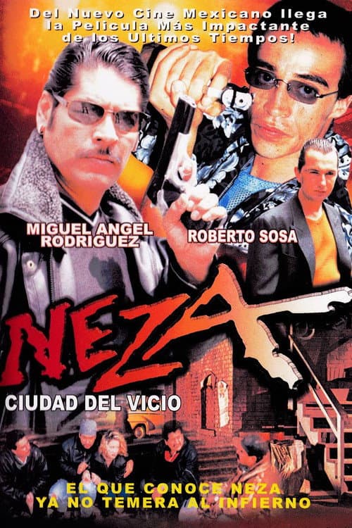 Neza, ciudad del vicio (2006) poster