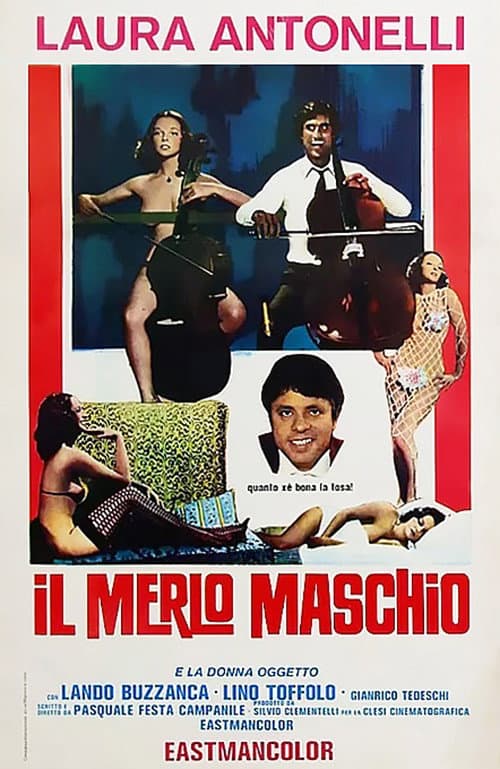 Il merlo maschio (1971) poster