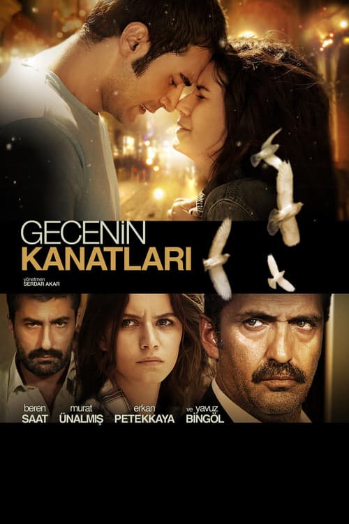 Gecenin Kanatları (2009) poster