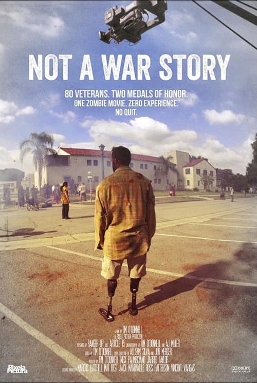 Not a War Story (2017) poster
