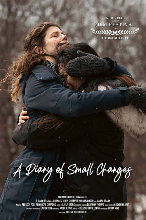A Diary of Small Changes (2022) poster