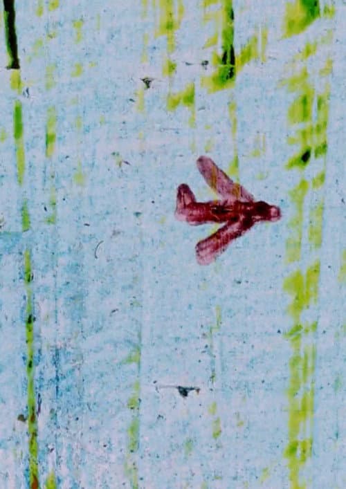 Unaccompanied Minor (2016) poster