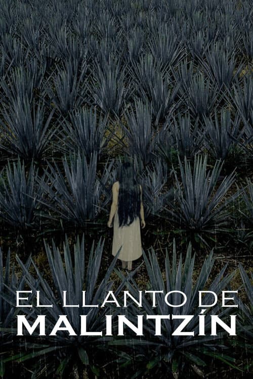 El llanto de Malintzín (2022) poster