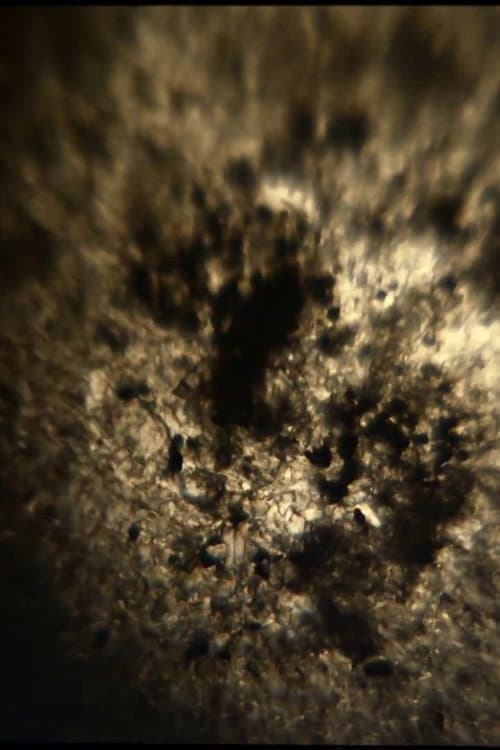 Granular (2015) poster