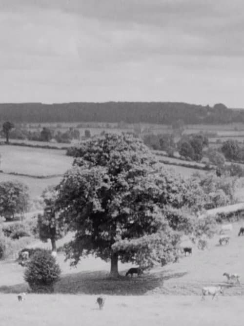 The Chiltern Country (1939) poster